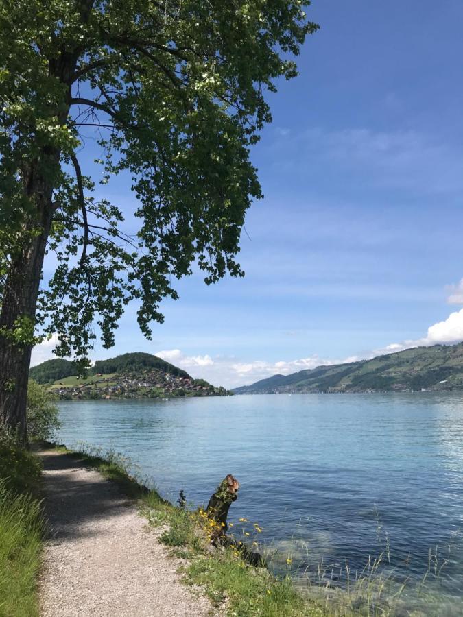Moderne Unterkunft Mit Panoramablick Auf Thunersee Krattigen ภายนอก รูปภาพ